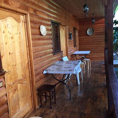 Guest House Nana Gagra Exterior foto