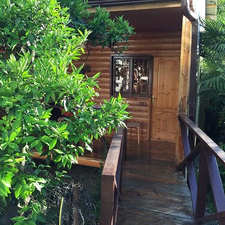 Guest House Nana Gagra Exterior foto