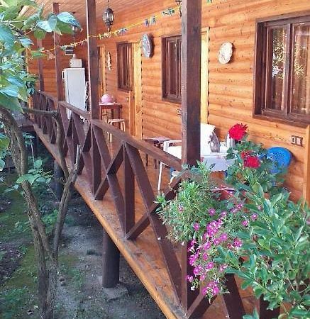 Guest House Nana Gagra Exterior foto