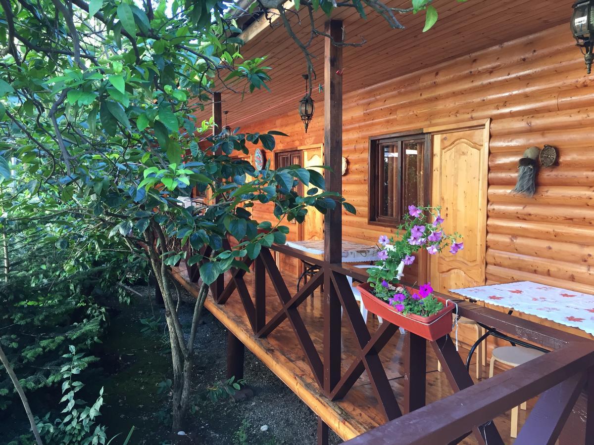 Guest House Nana Gagra Exterior foto