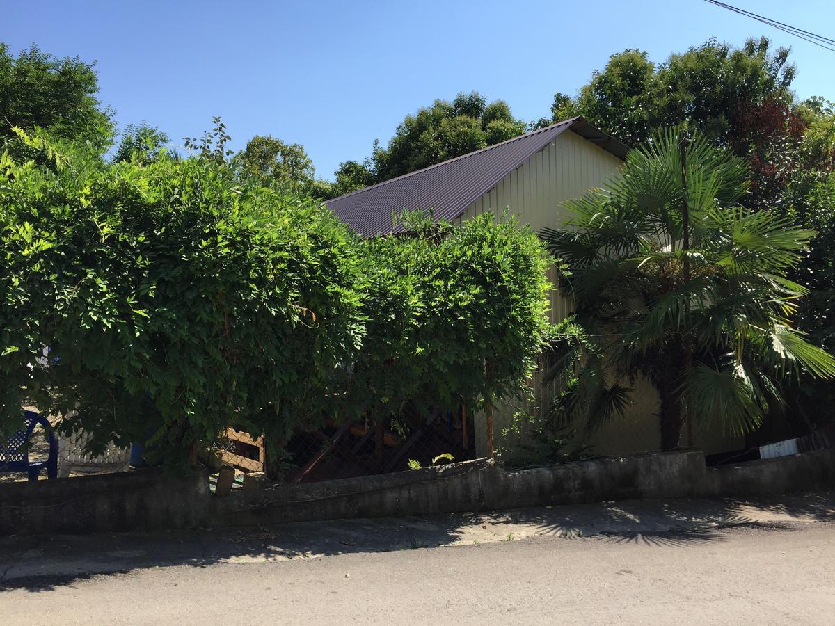 Guest House Nana Gagra Exterior foto